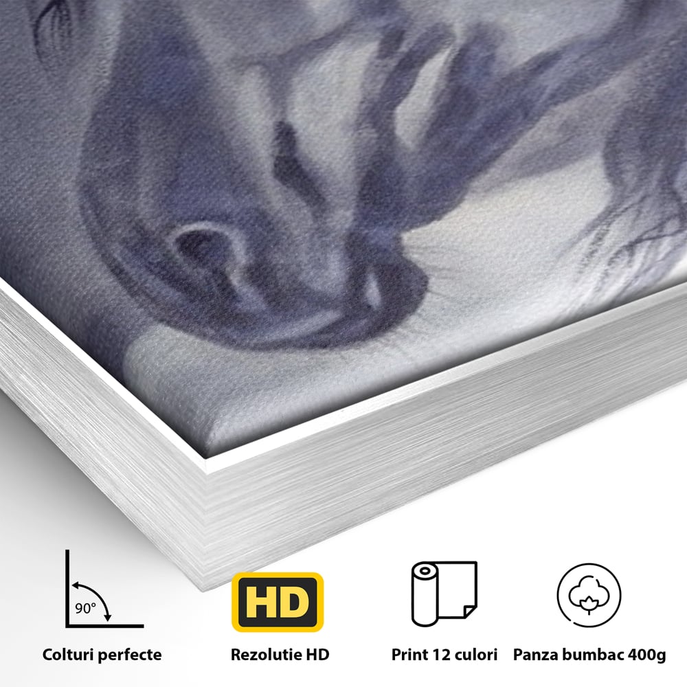 Tablou Canvas Premium LuxCanva® A1365, Calul Gri , Living, Animal, Portret, Mamifer, Dormitor, Culori Vibrante
