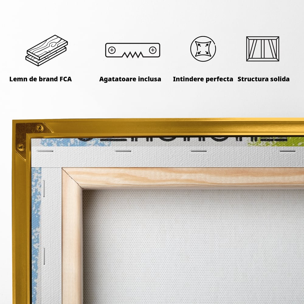 Tablou Canvas Premium LuxCanva® A1367, Change Your Thoughts , Living, Schimba-ti Gandirea, Motivational, Birou, Echipa, Culori Vibrante