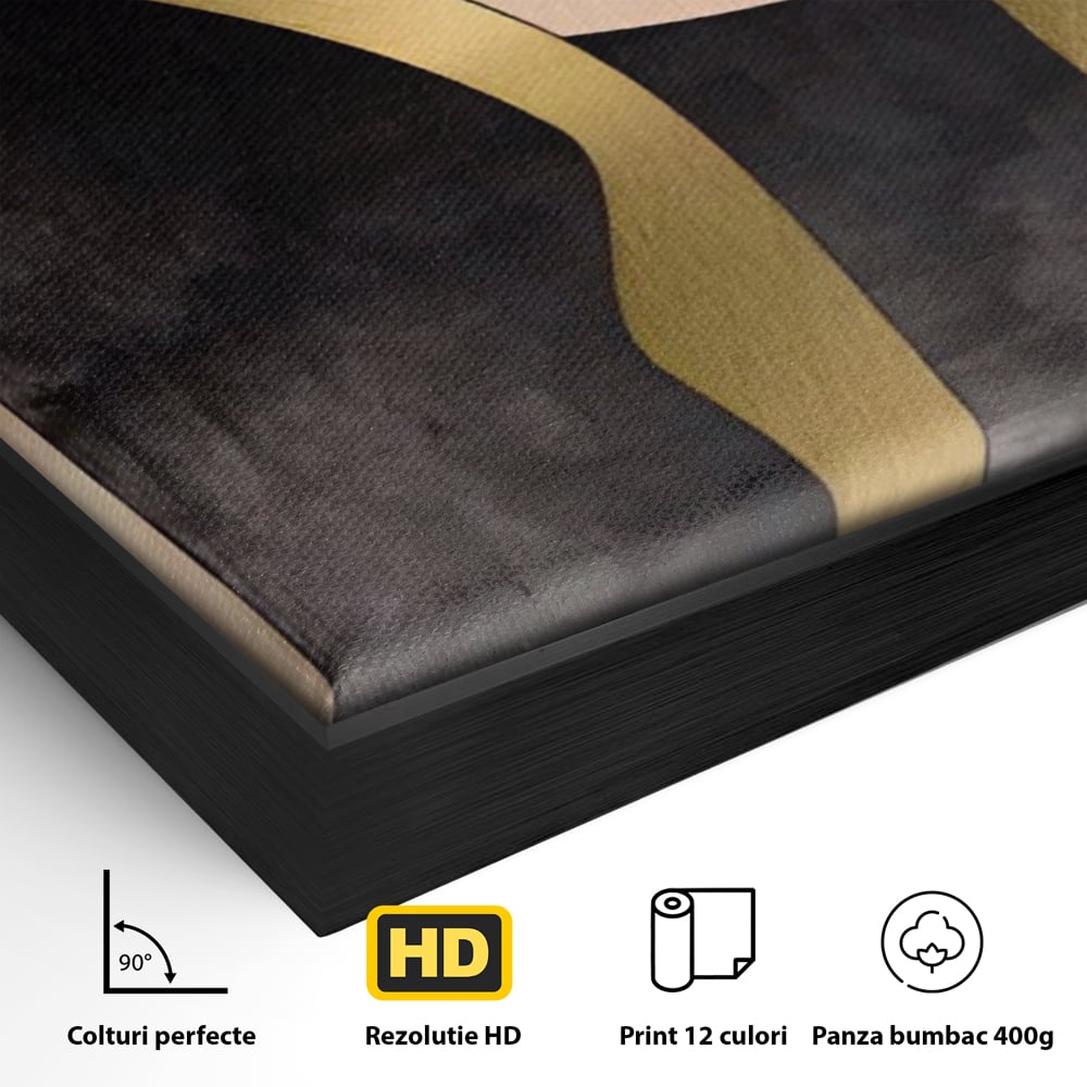 Tablou Canvas Premium LuxCanva® A1378, Siluete , Dormitor, Abstract, Auriu, Decorativ, Living, Culori Vibrante