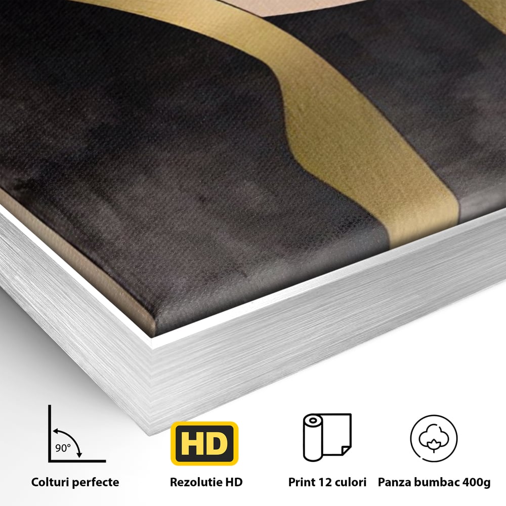 Tablou Canvas Premium LuxCanva® A1378, Siluete , Dormitor, Abstract, Auriu, Decorativ, Living, Culori Vibrante