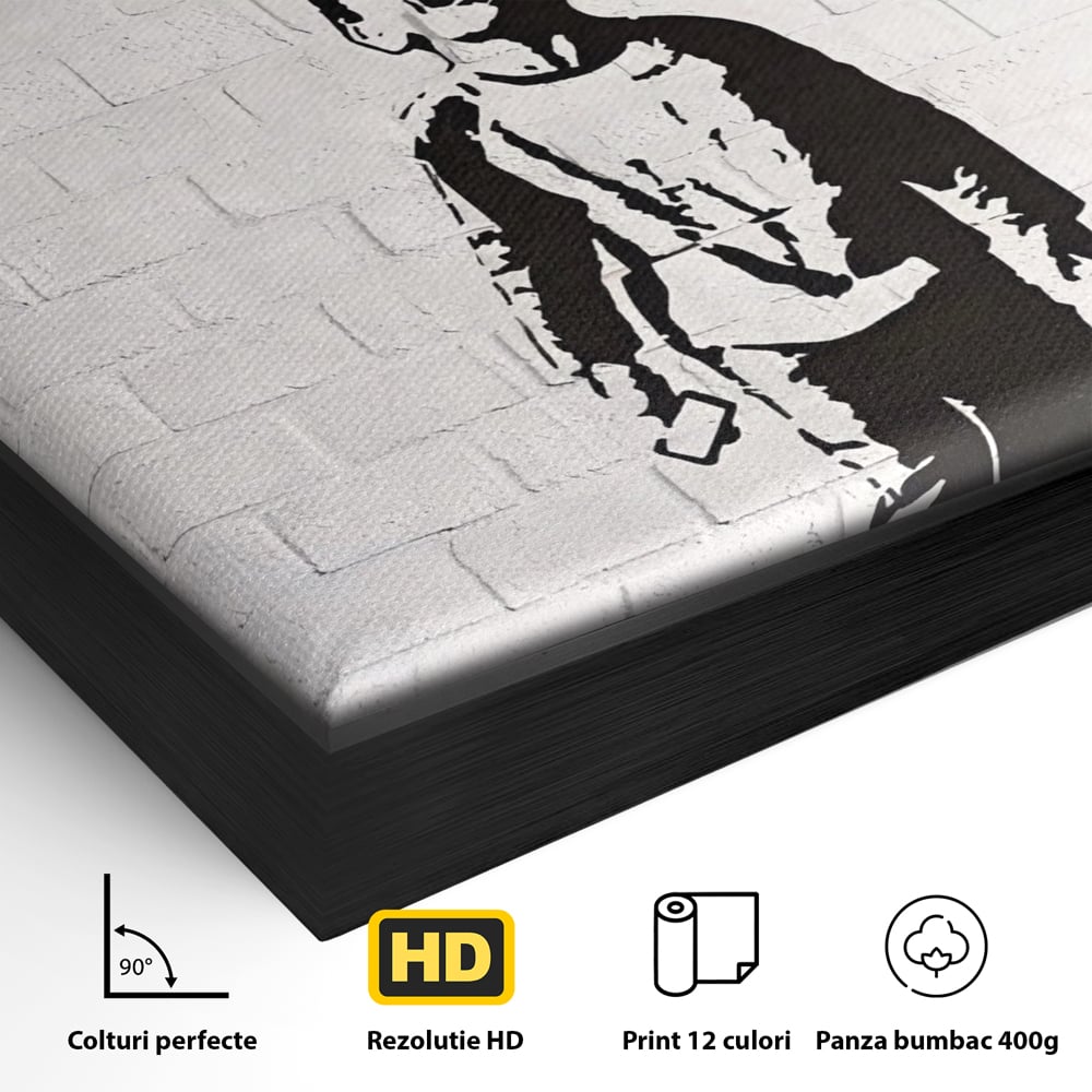 Tablou Canvas Premium LuxCanva® A1400, No Followers , Room, Inocenta, Social Media, Copil, Graffiti, Culori Vibrante