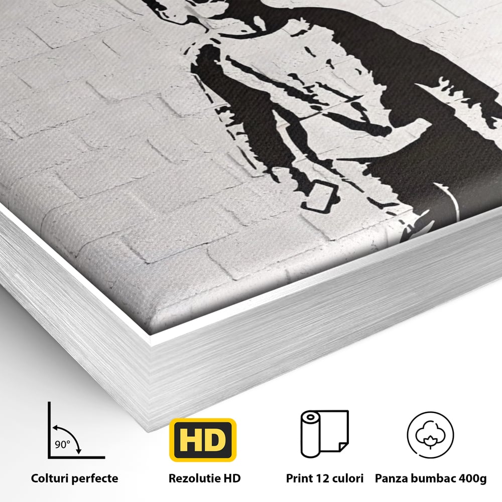 Tablou Canvas Premium LuxCanva® A1400, No Followers , Room, Inocenta, Social Media, Copil, Graffiti, Culori Vibrante