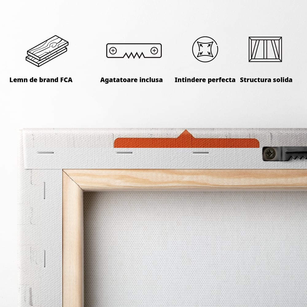 Tablou Canvas Premium LuxCanva® A1400, No Followers , Room, Inocenta, Social Media, Copil, Graffiti, Culori Vibrante