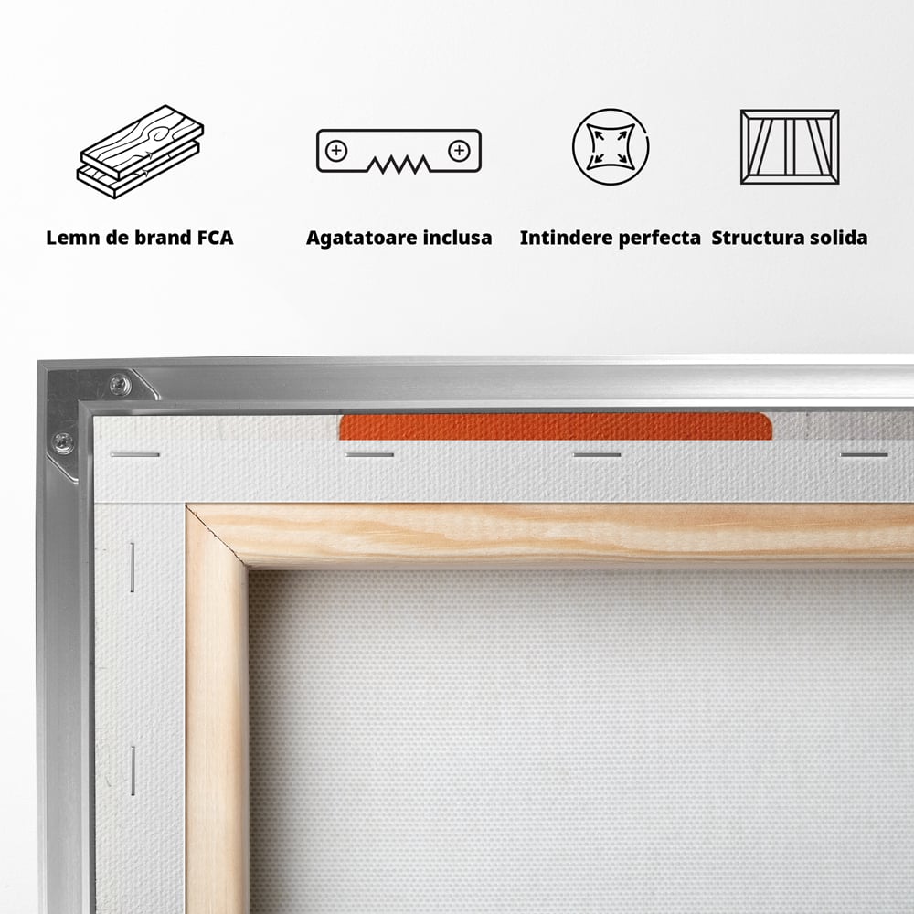 Tablou Canvas Premium LuxCanva® A1400, No Followers , Room, Inocenta, Social Media, Copil, Graffiti, Culori Vibrante