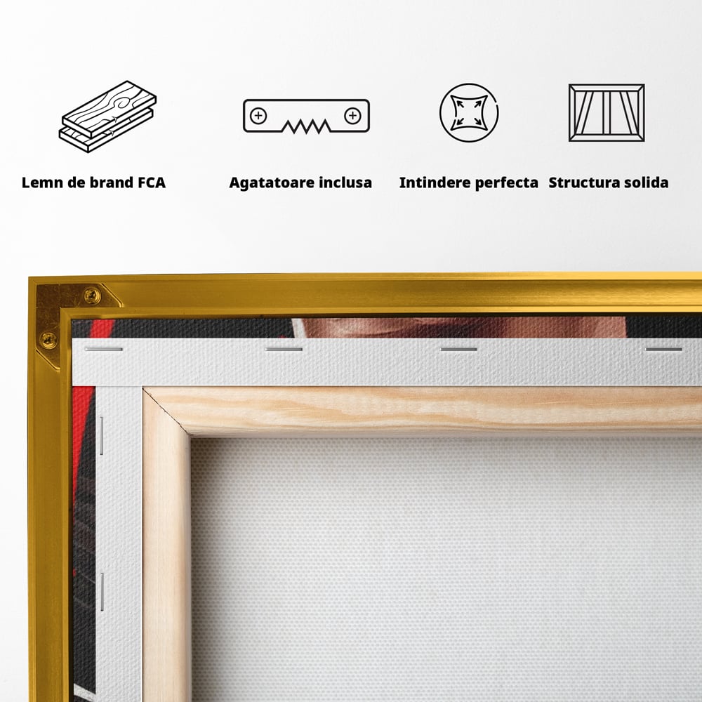 Tablou Canvas Premium, LuxCanva® A1404, Michael Jordan, Room, Baschetbalist, NBA, Air Jordan, Club Sportiv, Culori Vibrante