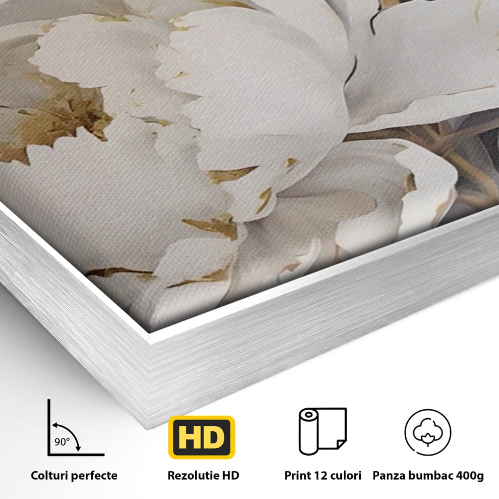 Tablou Canvas Premium LuxCanva® A1417, White Flowers , Living Room, Natura, Flori, Gold, Decorativ, Culori Vibrante