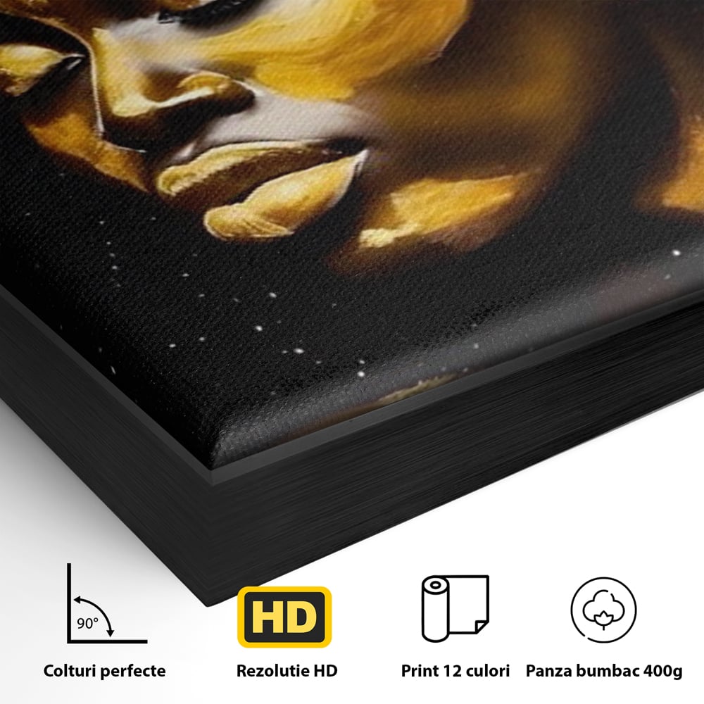 Leinwandbilder Premium LuxCanva® A1441, Afrikanisches Gold , Dekorativ, Frau, Goldtropfen, Goldene Lippen, Goldene Lippen, Zimmer, Lebendige Farben