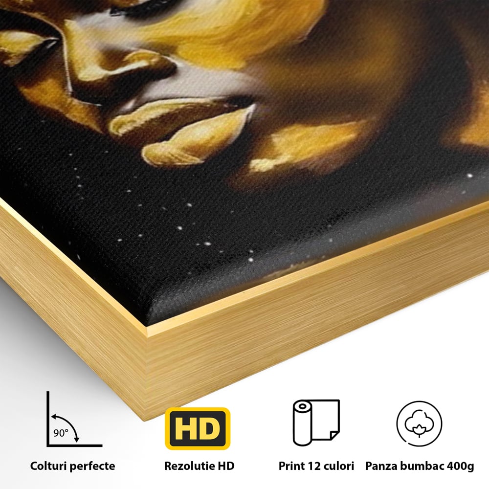 Leinwandbilder Premium LuxCanva® A1441, Afrikanisches Gold , Dekorativ, Frau, Goldtropfen, Goldene Lippen, Goldene Lippen, Zimmer, Lebendige Farben