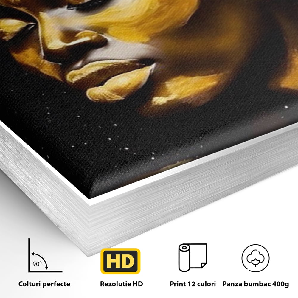Leinwandbilder Premium LuxCanva® A1441, Afrikanisches Gold , Dekorativ, Frau, Goldtropfen, Goldene Lippen, Goldene Lippen, Zimmer, Lebendige Farben