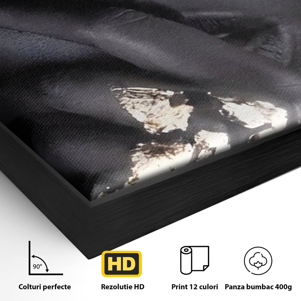 Tablou Canvas Premium LuxCanva® A1453, Stare Aurie , Decorativ, Living, Frumusete, Femeie Cu Ochi Albastri, Mister, Living, Culori Vibrante