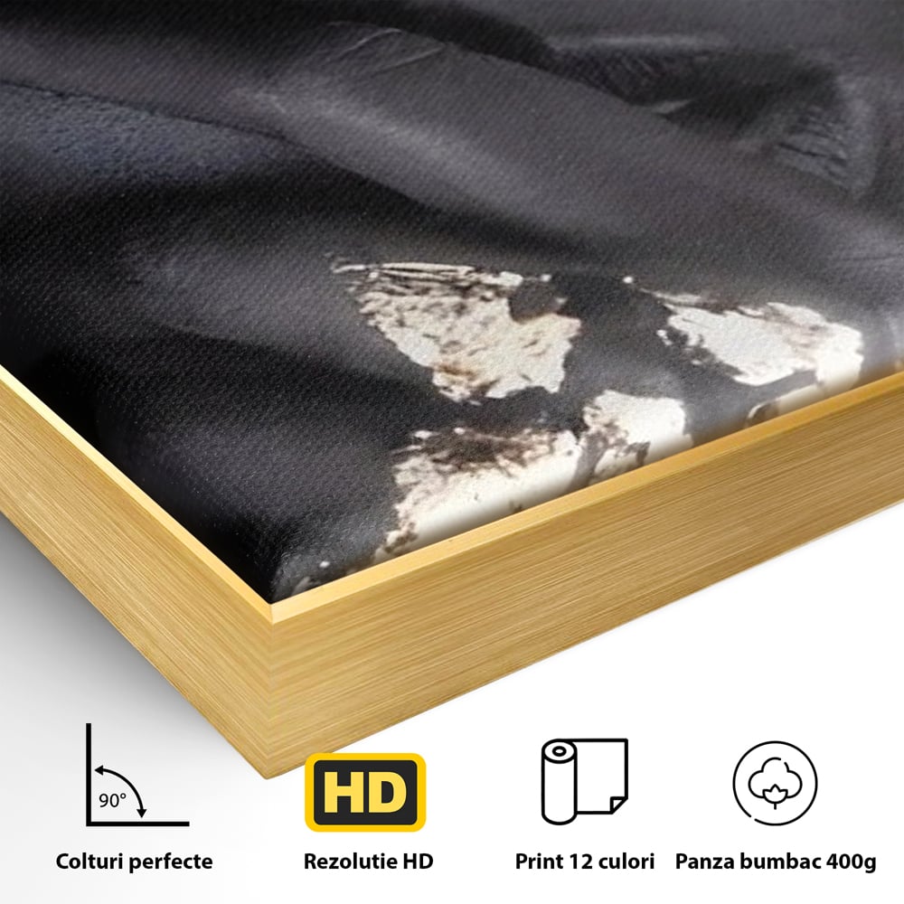 Tablou Canvas Premium LuxCanva® A1453, Stare Aurie , Decorativ, Living, Frumusete, Femeie Cu Ochi Albastri, Mister, Living, Culori Vibrante