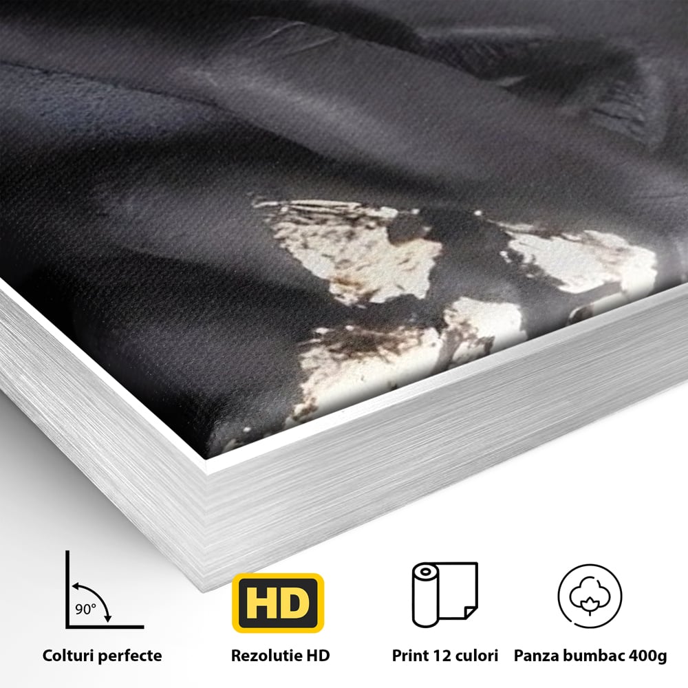 Tablou Canvas Premium LuxCanva® A1453, Stare Aurie , Decorativ, Living, Frumusete, Femeie Cu Ochi Albastri, Mister, Living, Culori Vibrante