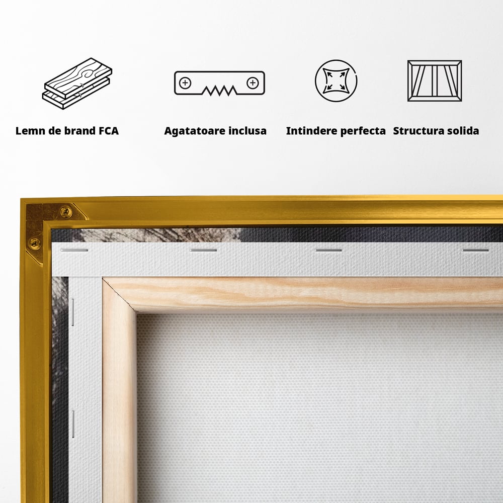 Tablou Canvas Premium LuxCanva® A1453, Stare Aurie , Decorativ, Living, Frumusete, Femeie Cu Ochi Albastri, Mister, Living, Culori Vibrante