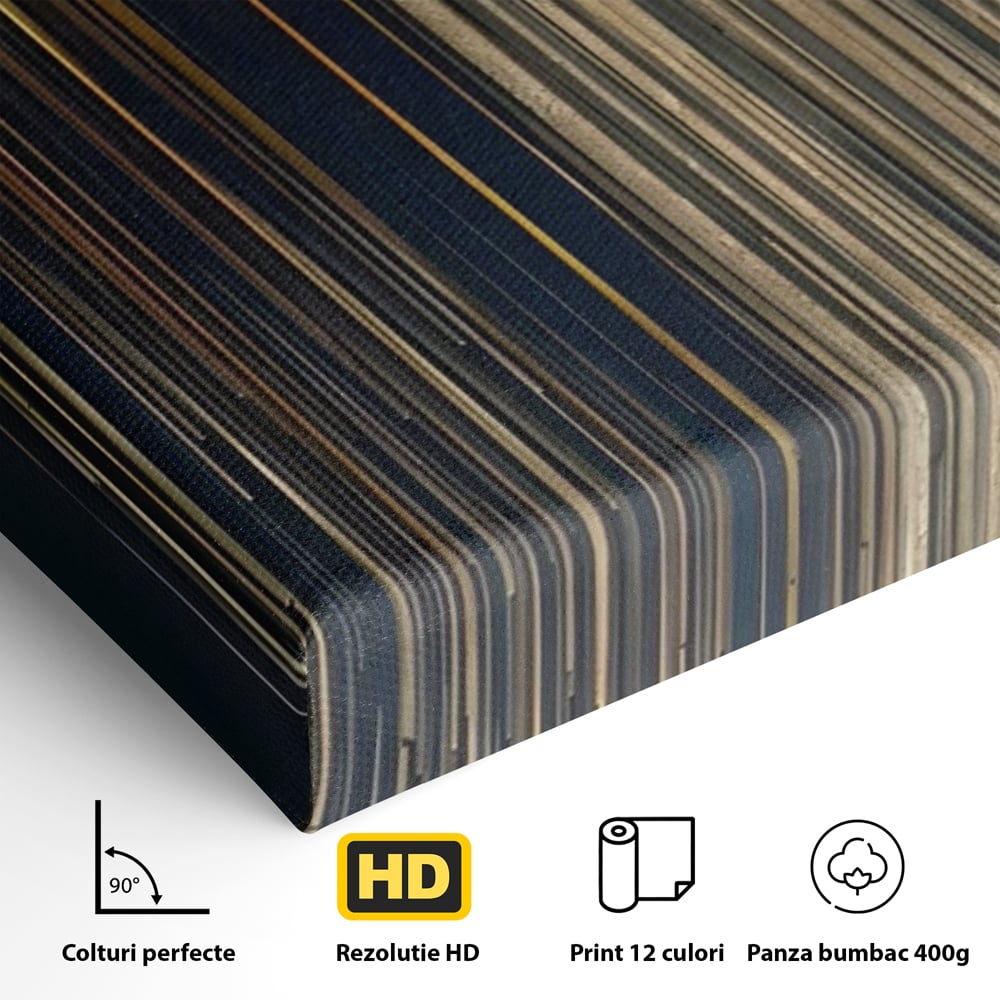 Tablou Canvas Premium LuxCanva® A1461, Armonie Liniara  , Living, Decorativ, Abstract, Auriu, Acord, Linii, Room, Culori Vibrante