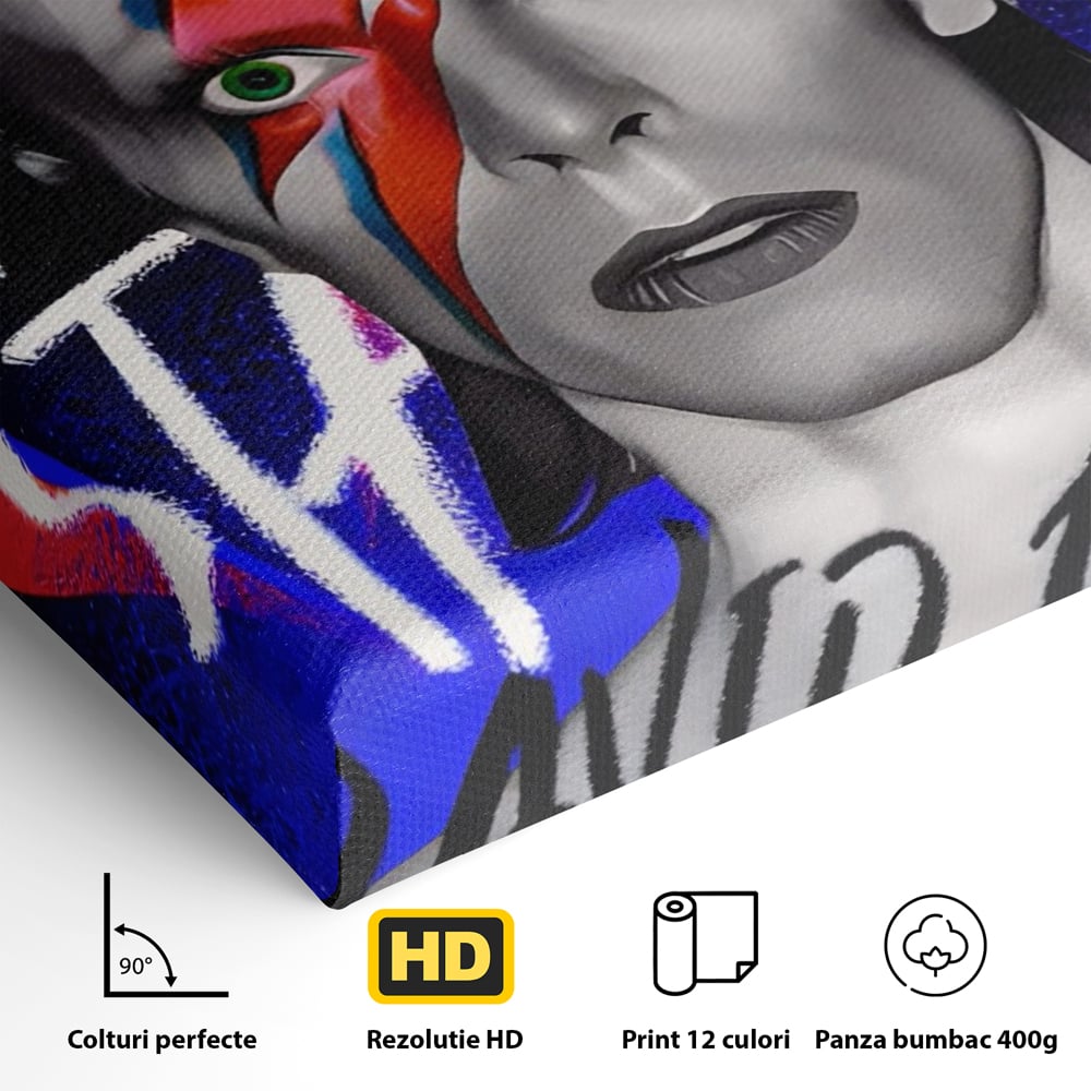 Tablou Canvas Premium LuxCanva® A1477, David Bowie , Dormitor, Cantaret, Compozitor, Artist, Muzica, Room, Culori Vibrante