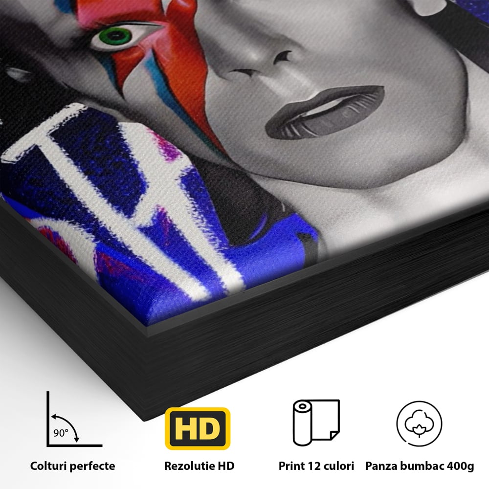 Tablou Canvas Premium LuxCanva® A1477, David Bowie , Dormitor, Cantaret, Compozitor, Artist, Muzica, Room, Culori Vibrante