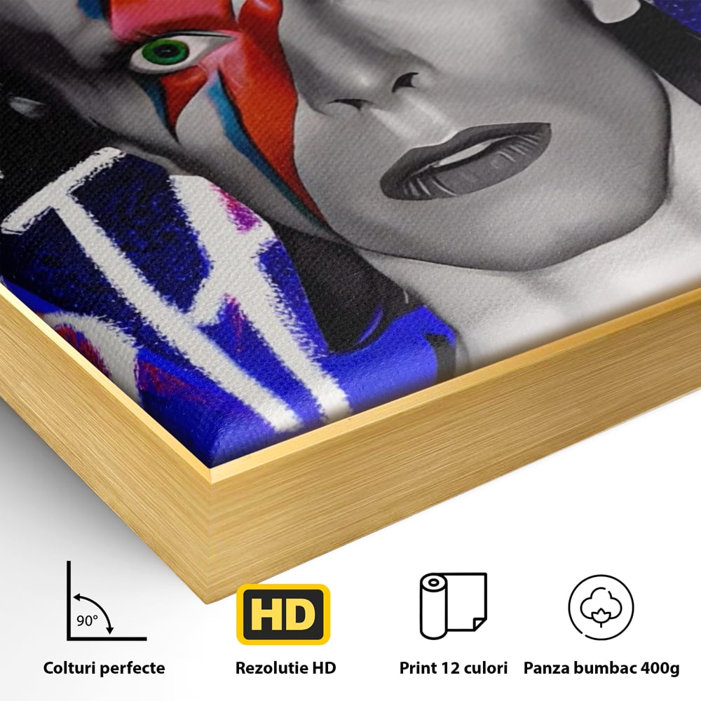 Tablou Canvas Premium LuxCanva® A1477, David Bowie , Dormitor, Cantaret, Compozitor, Artist, Muzica, Room, Culori Vibrante