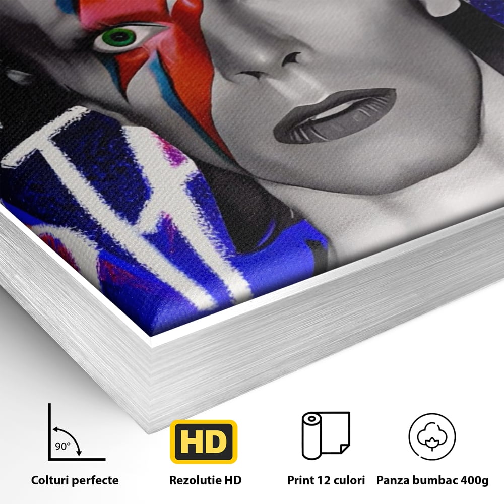 Tablou Canvas Premium LuxCanva® A1477, David Bowie , Dormitor, Cantaret, Compozitor, Artist, Muzica, Room, Culori Vibrante