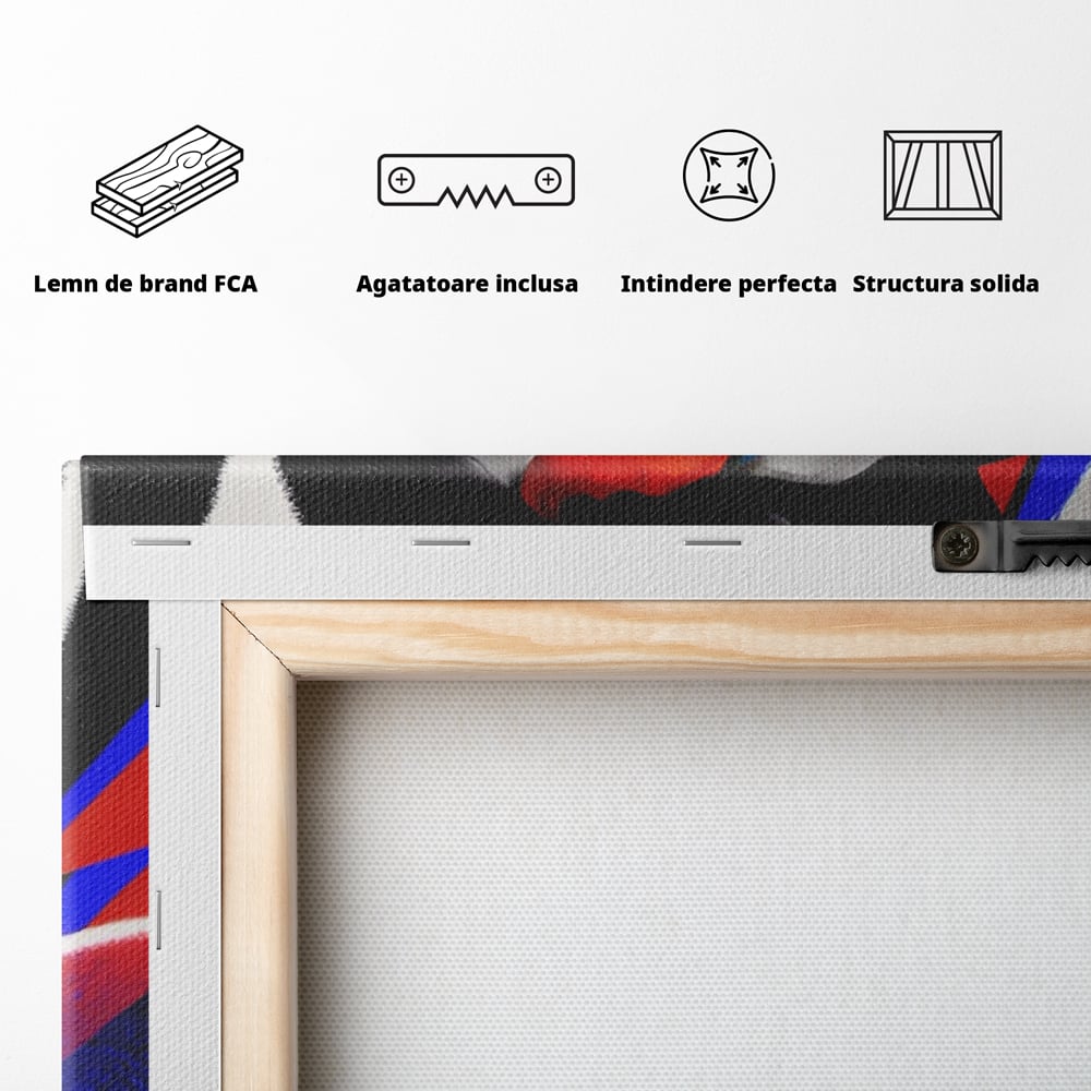 Tablou Canvas Premium LuxCanva® A1477, David Bowie , Dormitor, Cantaret, Compozitor, Artist, Muzica, Room, Culori Vibrante