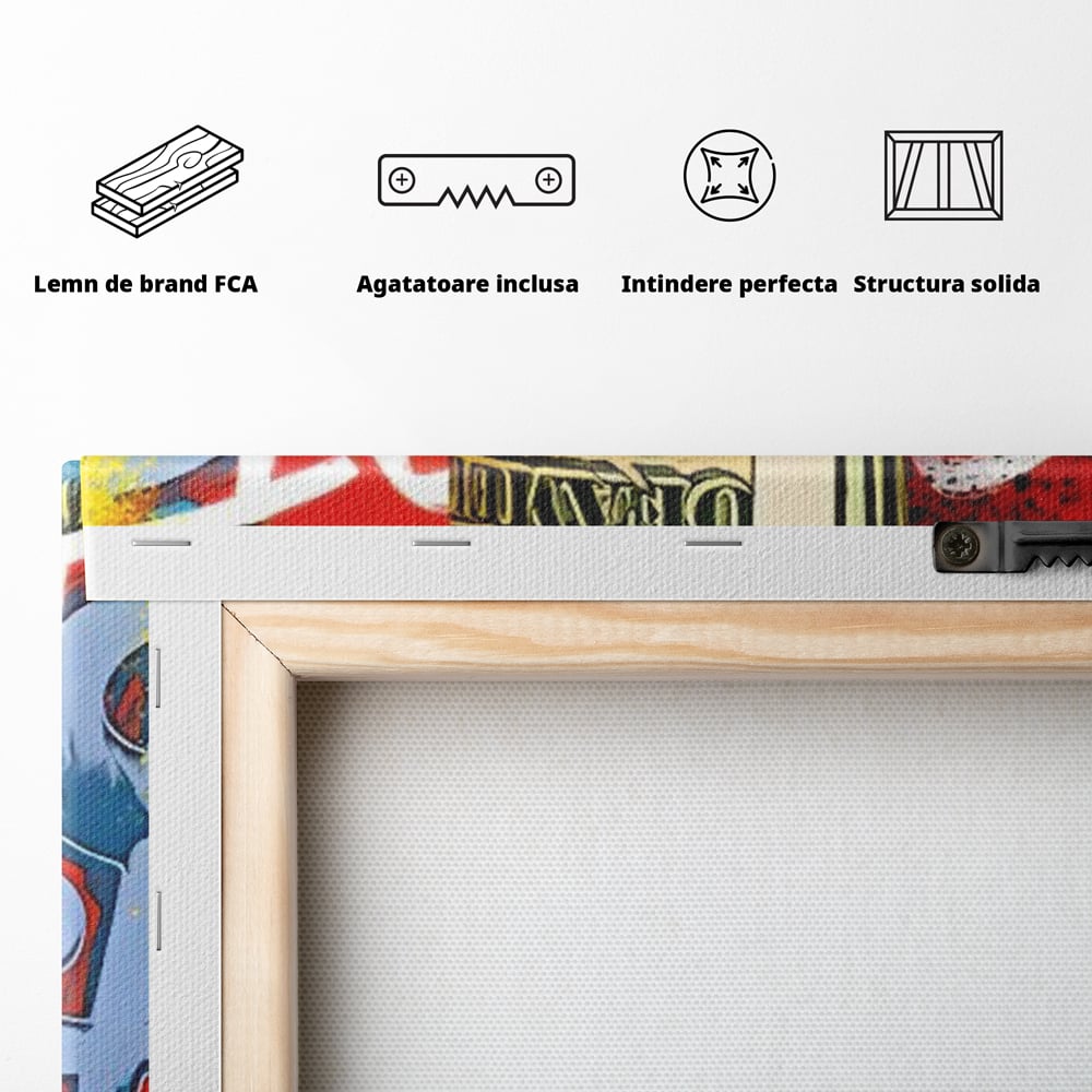 Tablou Canvas Premium LuxCanva® A1489, Graffiti Dollar , Room, Bani, Cash, Culori, Dormitor, Culori Vibrante