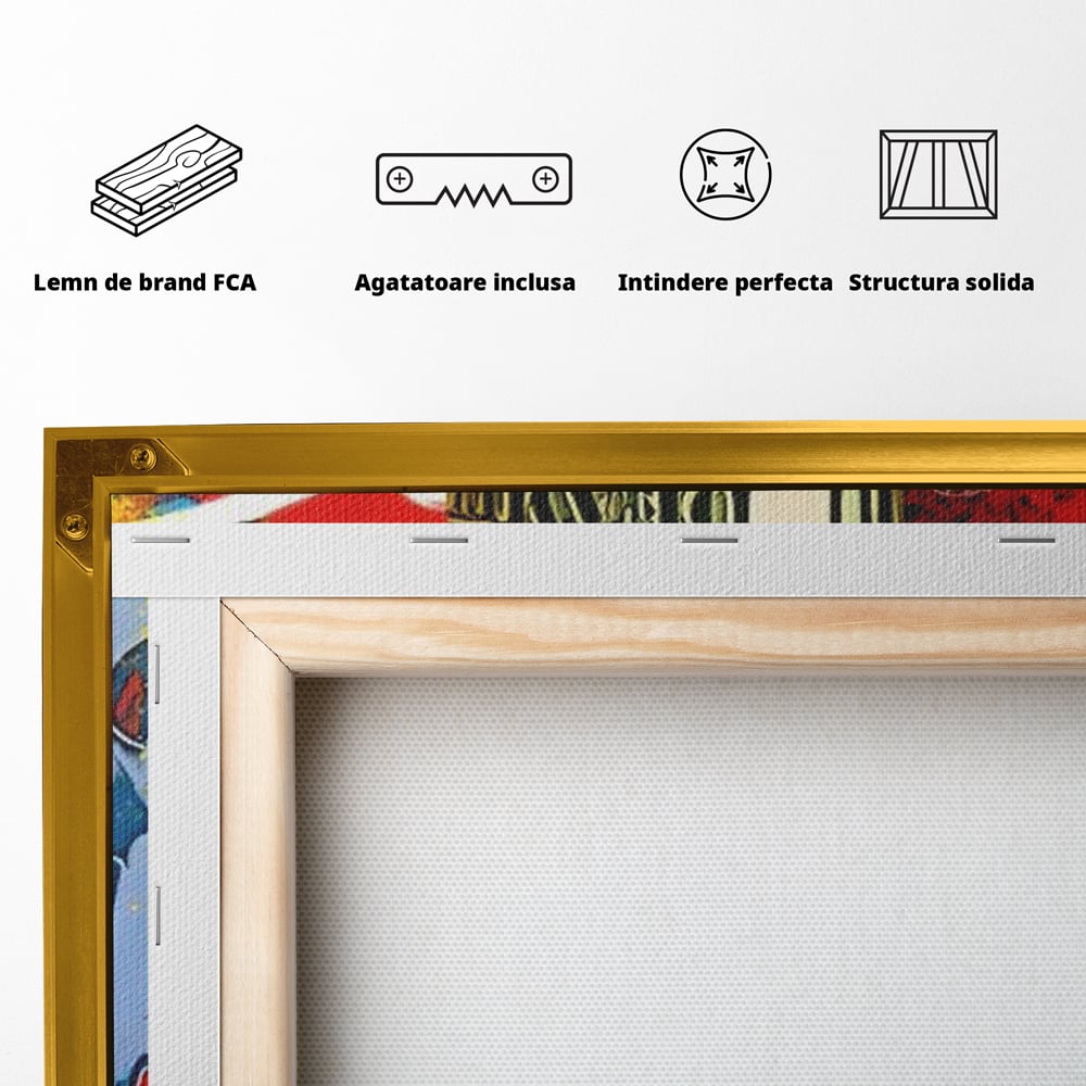 Tablou Canvas Premium LuxCanva® A1489, Graffiti Dollar , Room, Bani, Cash, Culori, Dormitor, Culori Vibrante