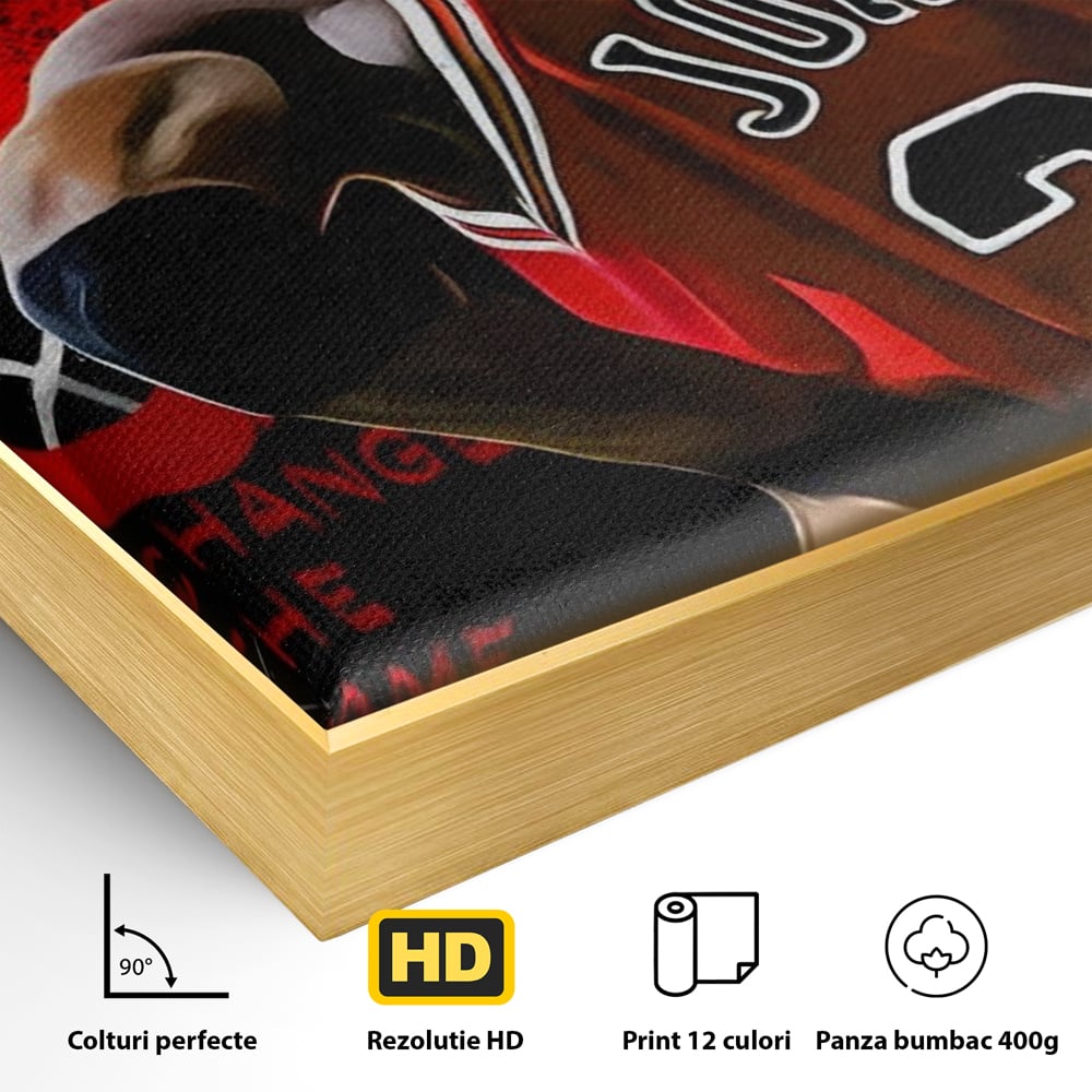 Tablou Canvas Premium, LuxCanva® A1490, Jordan23 , Room, Baschet, NBA, Sportiv, Personalitati, Club Sportiv, Culori Vibrante