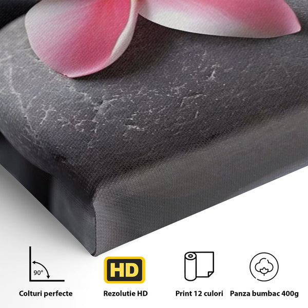 Tablou Canvas Premium LuxCanva® A1498, Flower Spa , Room, Relaxare, Floare Roz, Pietre, Decorativ, Living, Culori Vibrante
