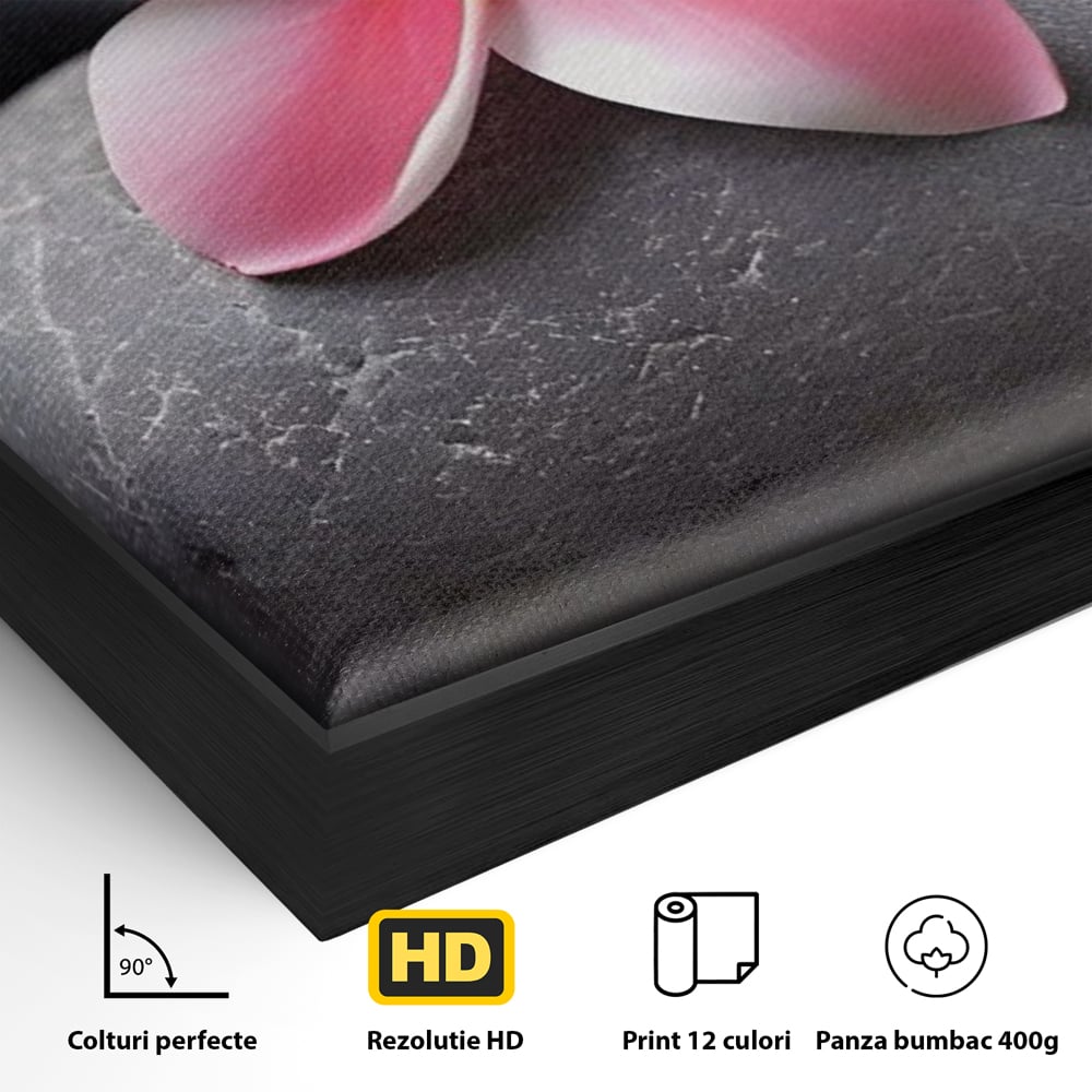 Tablou Canvas Premium LuxCanva® A1498, Flower Spa , Room, Relaxare, Floare Roz, Pietre, Decorativ, Living, Culori Vibrante
