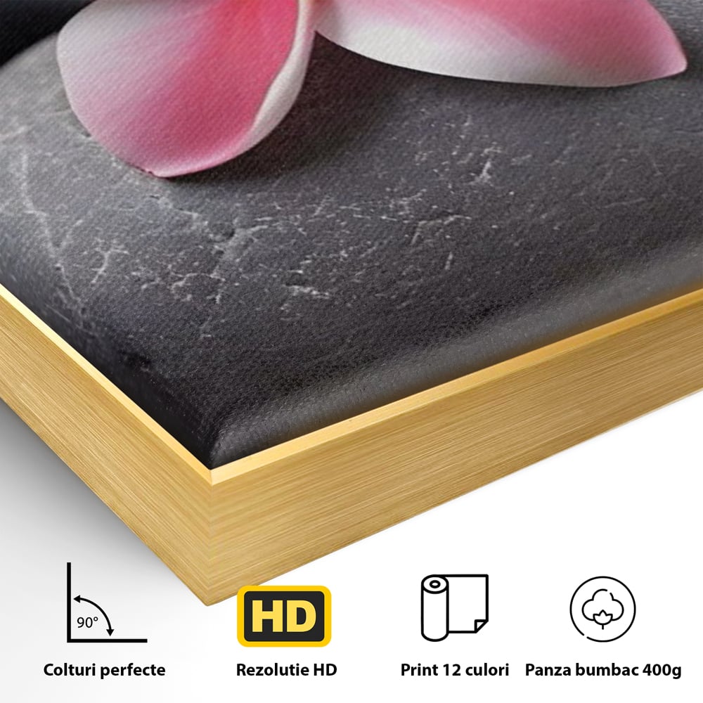 Tablou Canvas Premium LuxCanva® A1498, Flower Spa , Room, Relaxare, Floare Roz, Pietre, Decorativ, Living, Culori Vibrante