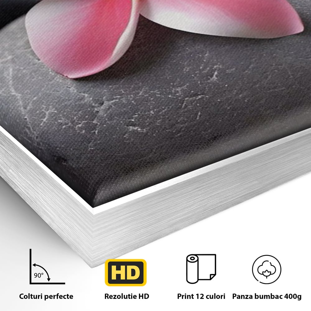 Tablou Canvas Premium LuxCanva® A1498, Flower Spa , Room, Relaxare, Floare Roz, Pietre, Decorativ, Living, Culori Vibrante