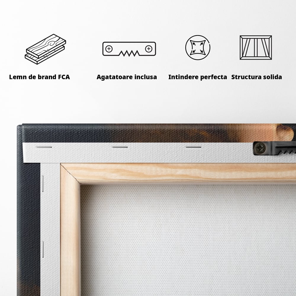 Tablou Canvas Premium LuxCanva® A1512, Portretul Unei Tinere Doamne , Galerie De Arta, Leonardo Da Vinci, Femeie, Pictura, Living, Culori Vibrante
