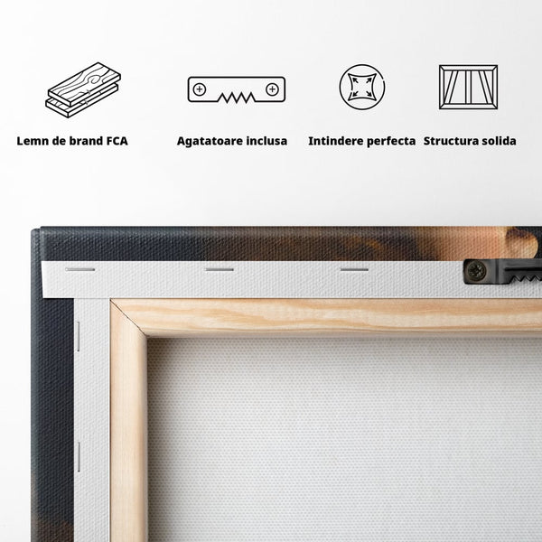 Tablou Canvas Premium LuxCanva® A1512, Portretul Unei Tinere Doamne , Galerie De Arta, Leonardo Da Vinci, Femeie, Pictura, Living, Culori Vibrante