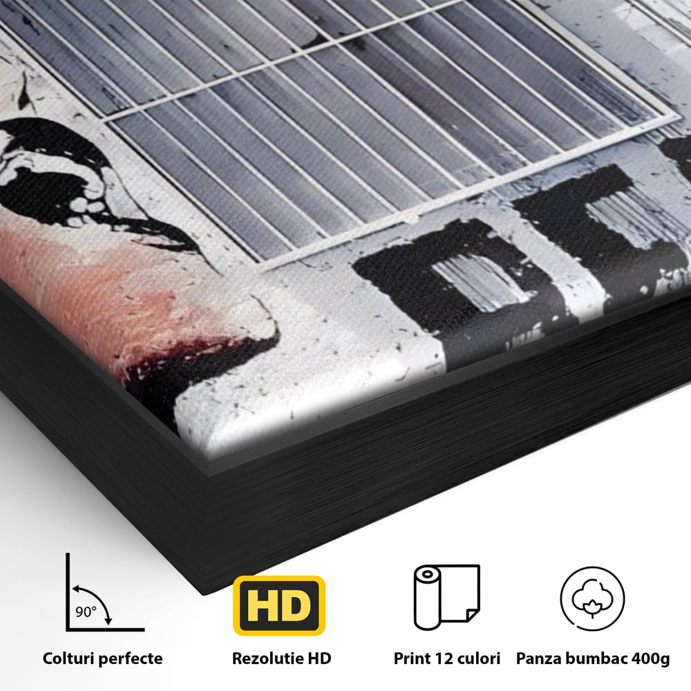 Tablou Canvas Premium LuxCanva® A1517, Viata Este Frumoasa , Femeie, Strigat, Graffiti, Decorativ, Living, Culori Vibrante