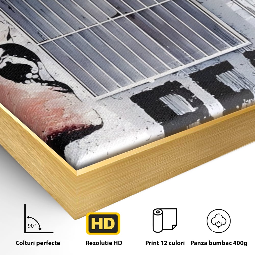 Tablou Canvas Premium LuxCanva® A1517, Viata Este Frumoasa , Femeie, Strigat, Graffiti, Decorativ, Living, Culori Vibrante