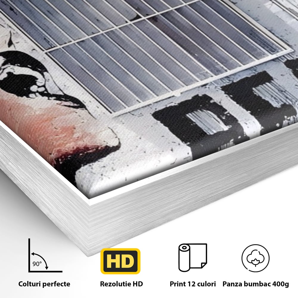 Tablou Canvas Premium LuxCanva® A1517, Viata Este Frumoasa , Femeie, Strigat, Graffiti, Decorativ, Living, Culori Vibrante