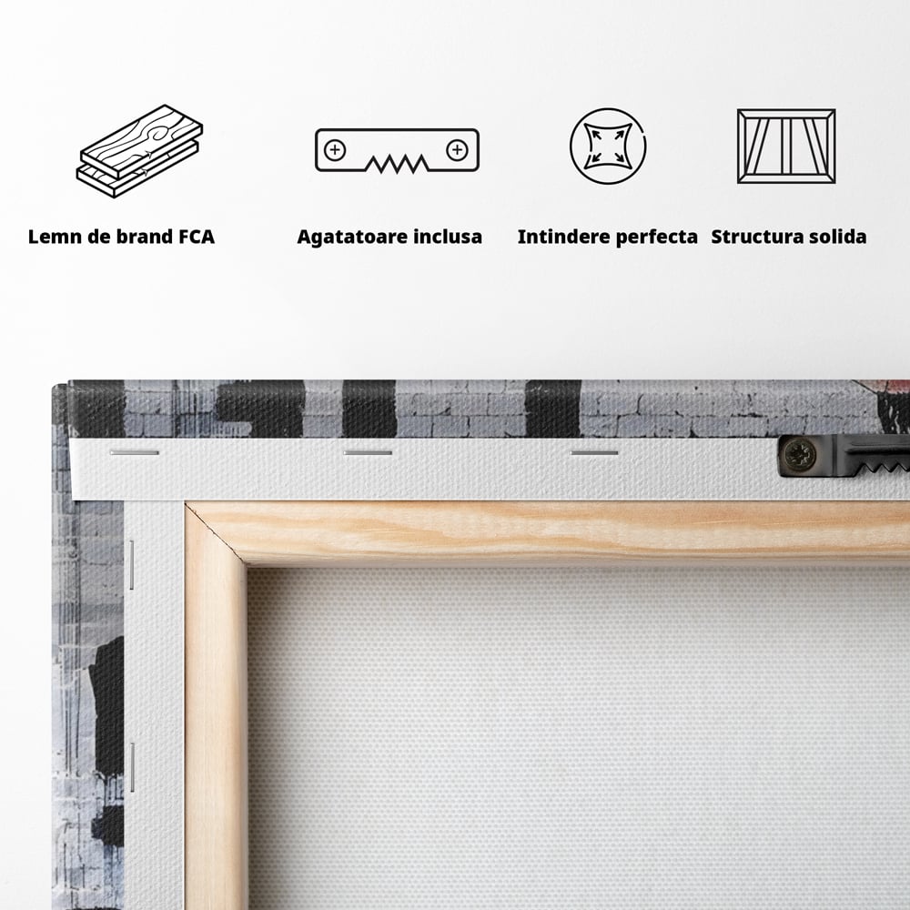 Tablou Canvas Premium LuxCanva® A1517, Viata Este Frumoasa , Femeie, Strigat, Graffiti, Decorativ, Living, Culori Vibrante