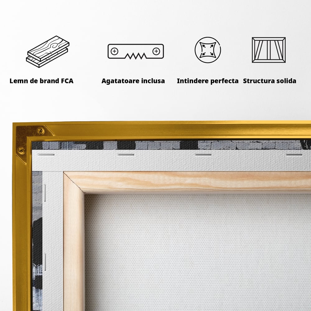 Tablou Canvas Premium LuxCanva® A1517, Viata Este Frumoasa , Femeie, Strigat, Graffiti, Decorativ, Living, Culori Vibrante