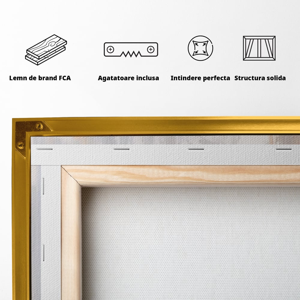 Tablou Canvas Premium LuxCanva® A1529, Cat Eyes , Room, Pisica, Privire, Animal, Felina, Dressing, Club Sportiv, Culori Vibrante