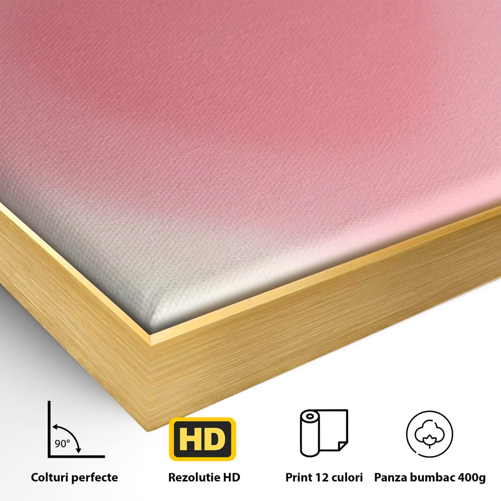 Tablou Canvas Premium LuxCanva® A1535, Follow Your Heart , Room, Inima, Roz, Iubire, Decorativ, Culori Vibrante