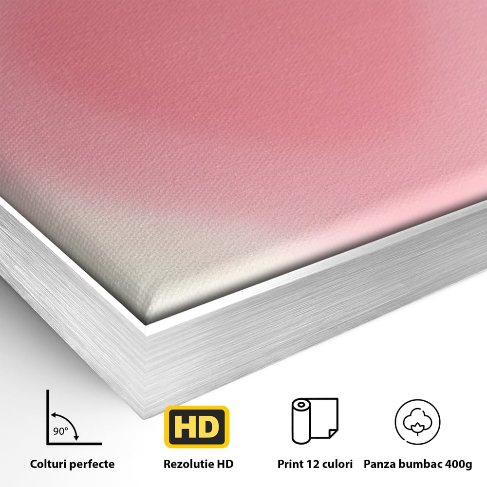 Tablou Canvas Premium LuxCanva® A1535, Follow Your Heart , Room, Inima, Roz, Iubire, Decorativ, Culori Vibrante