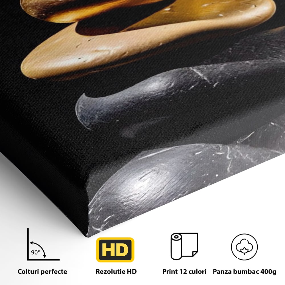 Tablou Canvas Premium LuxCanva® A1556, Echilibru , Salon, Terapie, Spa, Pietre, Auriu, Decorativ, Living, Culori Vibrante