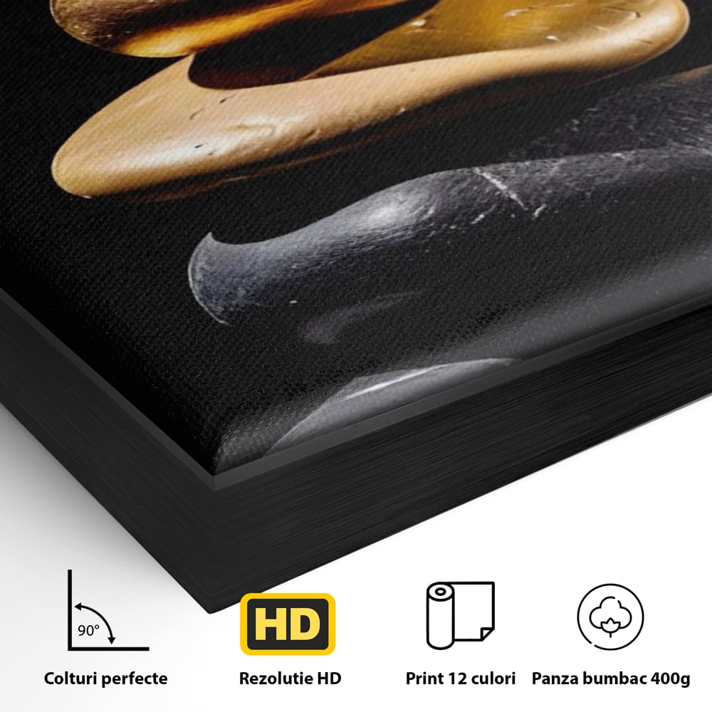 Tablou Canvas Premium LuxCanva® A1556, Echilibru , Salon, Terapie, Spa, Pietre, Auriu, Decorativ, Living, Culori Vibrante