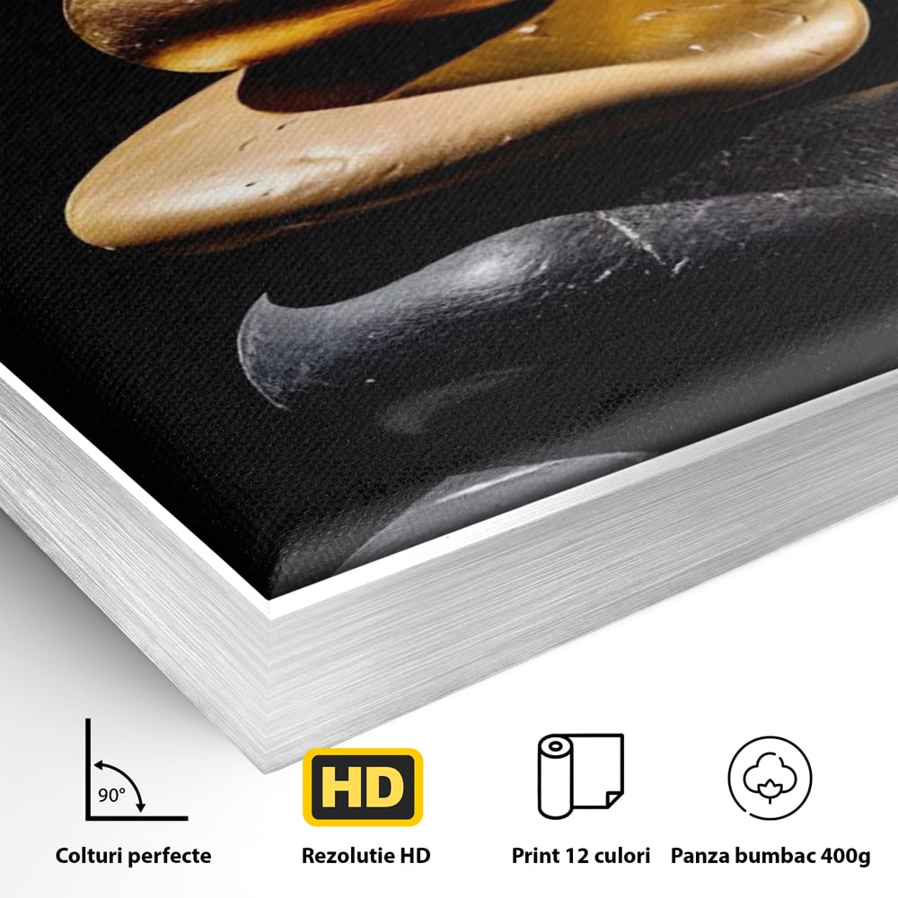 Tablou Canvas Premium LuxCanva® A1556, Echilibru , Salon, Terapie, Spa, Pietre, Auriu, Decorativ, Living, Culori Vibrante