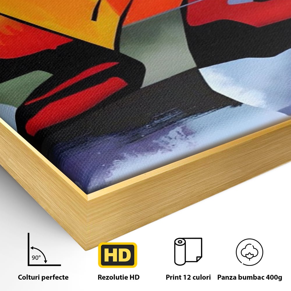 Leinwandbilder Premium LuxCanva® A1584, Somn Lin , Zimmer, Dekorativ, Abstrakt, Gesicht, Wohnen, Lebendige Farben