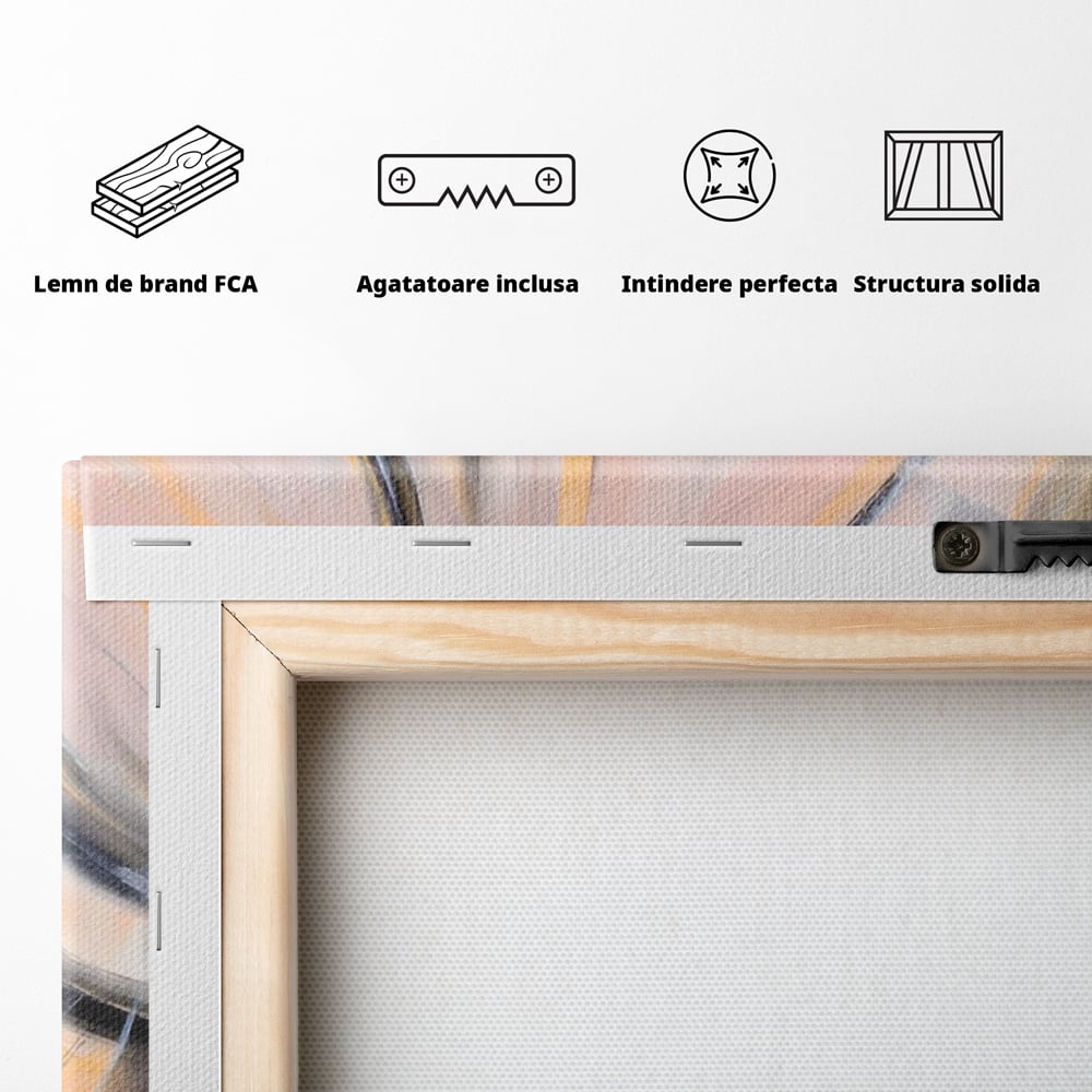 Tablou Canvas Premium LuxCanva® A1590, Exprimare Libera , Dormitor, Cercuri De Culoare, Decorativ, Abstract, Living, Culori Vibrante