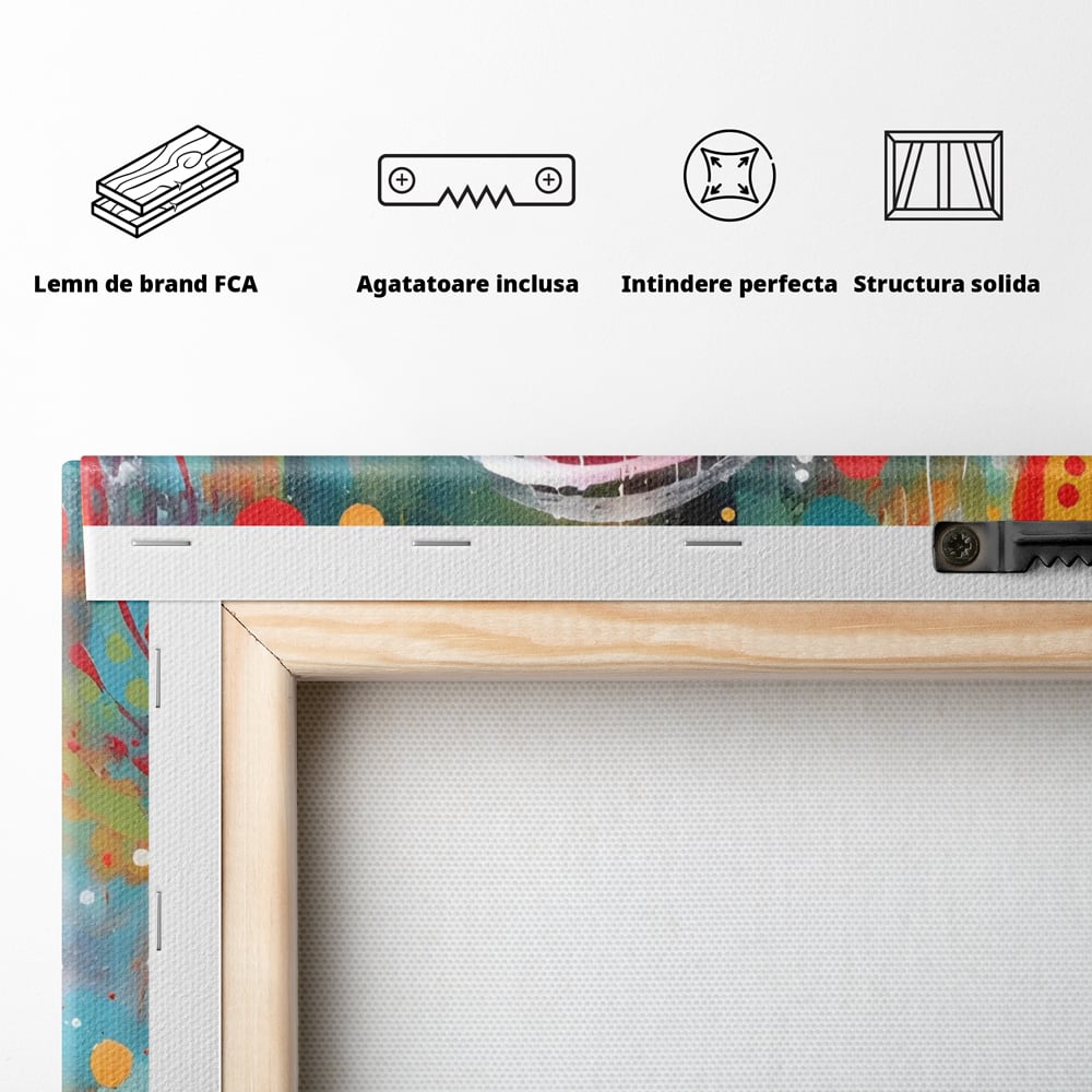 Tablou Canvas Premium LuxCanva® A1594, Abstract Watermelon , Pepene, Compozitie, Idei, Sentimente, Decorativ, Dormtior, Culori Vibrante