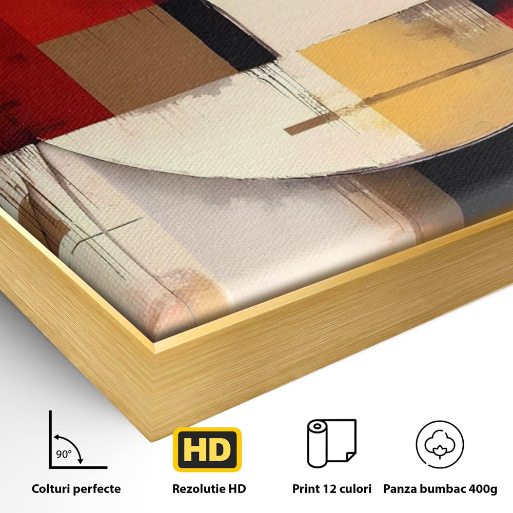 Tablou Canvas Premium LuxCanva® A1601, Stare Abstracta , Room, Decorativ, Sentimente, Interpretare, Contraste, Living, Culori Vibrante