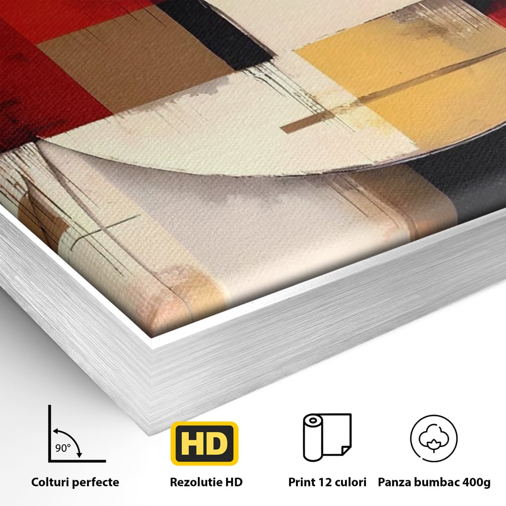 Tablou Canvas Premium LuxCanva® A1601, Stare Abstracta , Room, Decorativ, Sentimente, Interpretare, Contraste, Living, Culori Vibrante