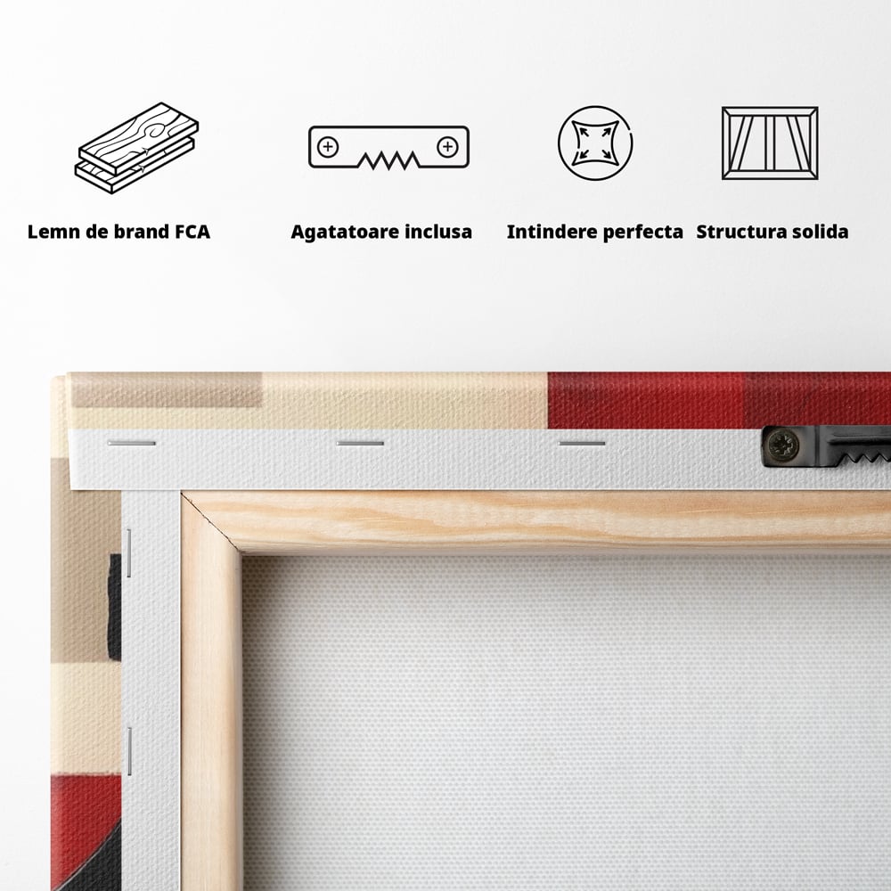Tablou Canvas Premium LuxCanva® A1601, Stare Abstracta , Room, Decorativ, Sentimente, Interpretare, Contraste, Living, Culori Vibrante