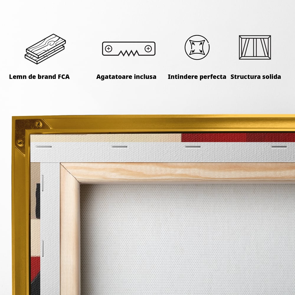 Tablou Canvas Premium LuxCanva® A1601, Stare Abstracta , Room, Decorativ, Sentimente, Interpretare, Contraste, Living, Culori Vibrante